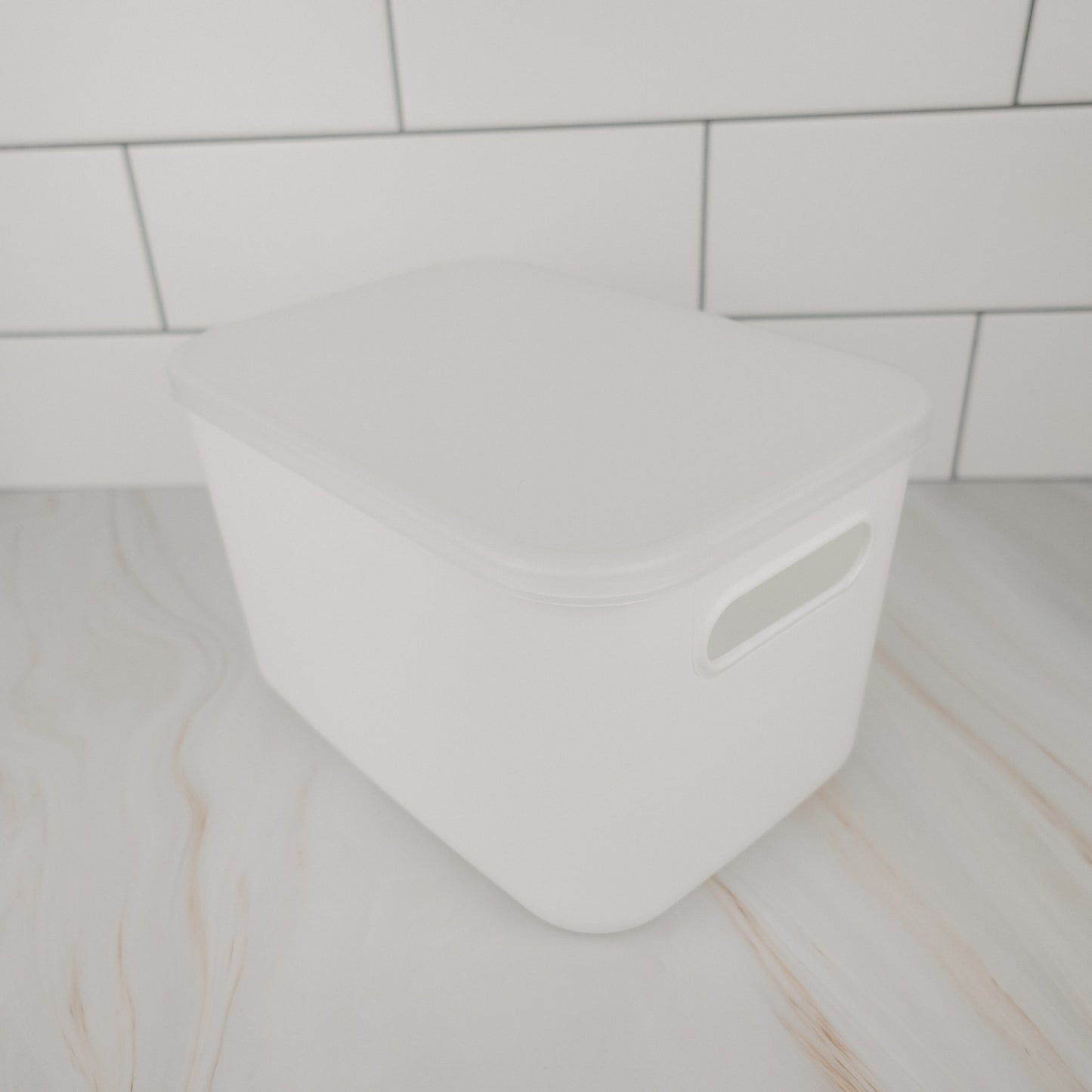 Mini Everything Tub, clear plastic storage container for pantry organisation, kitchen storage, and decluttering services NZ.
