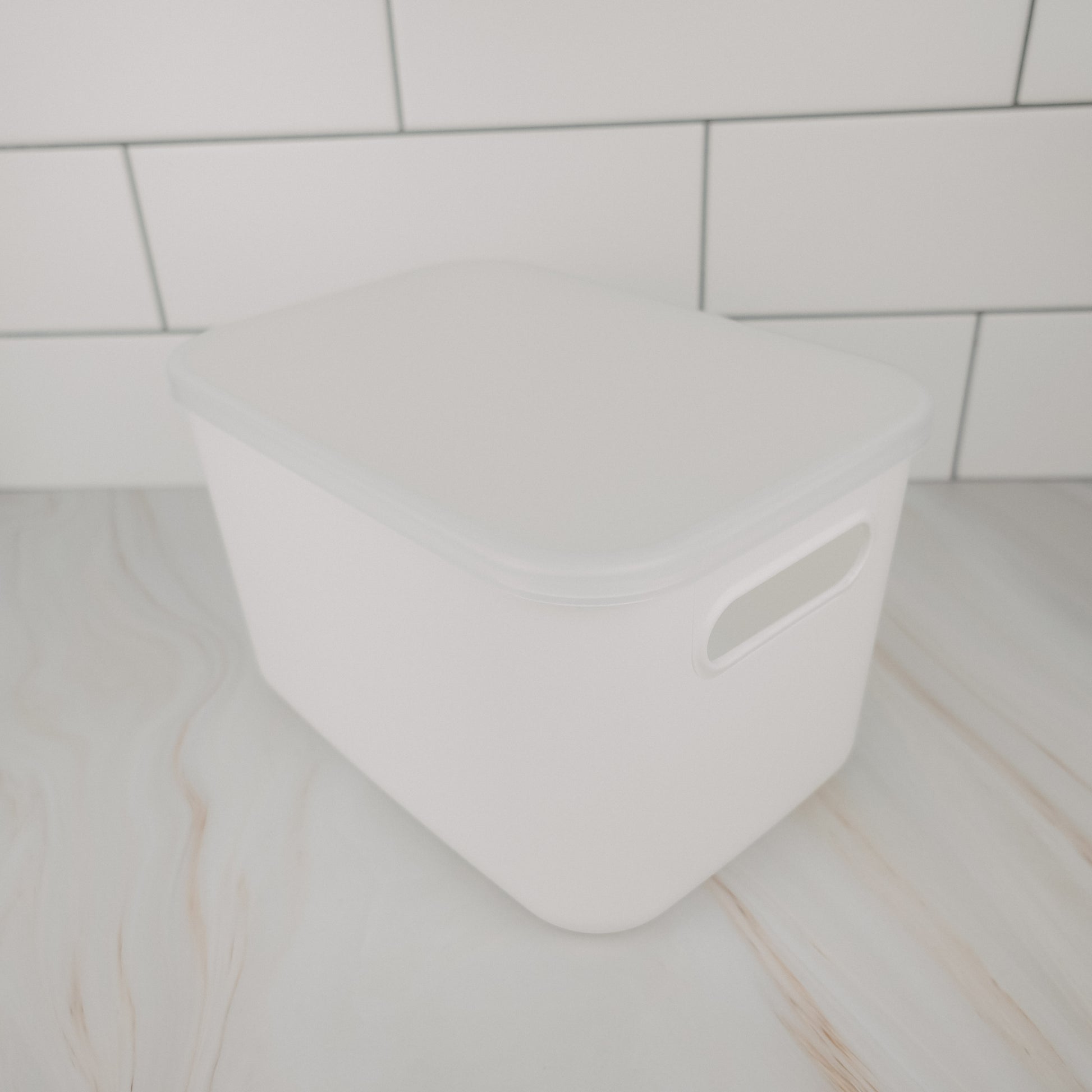 Mini Everything Tub, clear plastic storage container for pantry organisation, kitchen storage, and decluttering services NZ.
